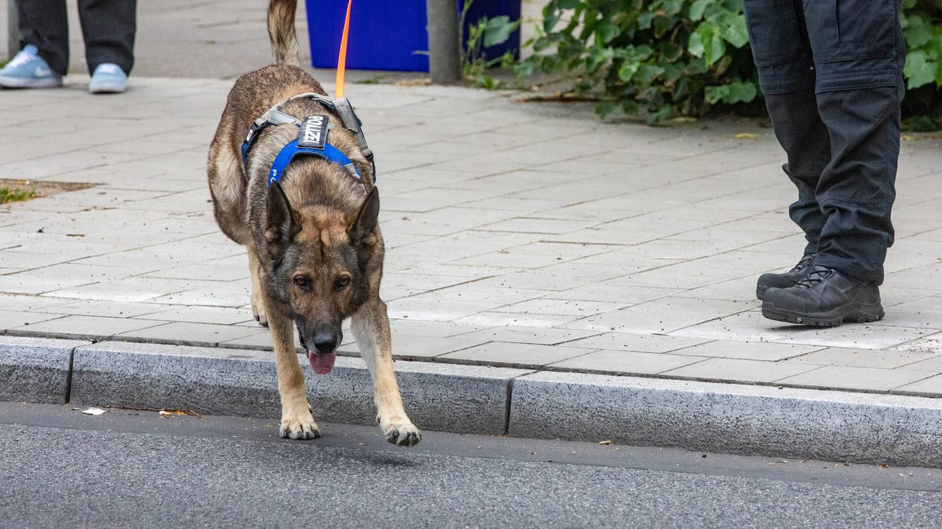 Polizeihund bei einem Einsatz in Hamburg (Symbolbild): In Bielefeld hat ein Diensthund einen Radfahrer attackiert und schwer verletzt.