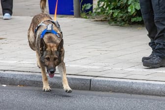 Polizeihund bei einem Einsatz in Hamburg (Symbolbild): In Bielefeld hat ein Diensthund einen Radfahrer attackiert und schwer verletzt.