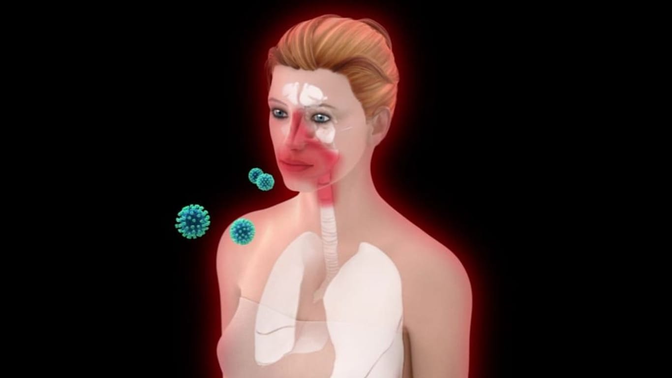 Der Screenshot zeigt einen Teil der interaktiven Grafik, mit der das Bundesgesundheitsministerium den Verlauf einer Coronavirus-Infektion erklärt.