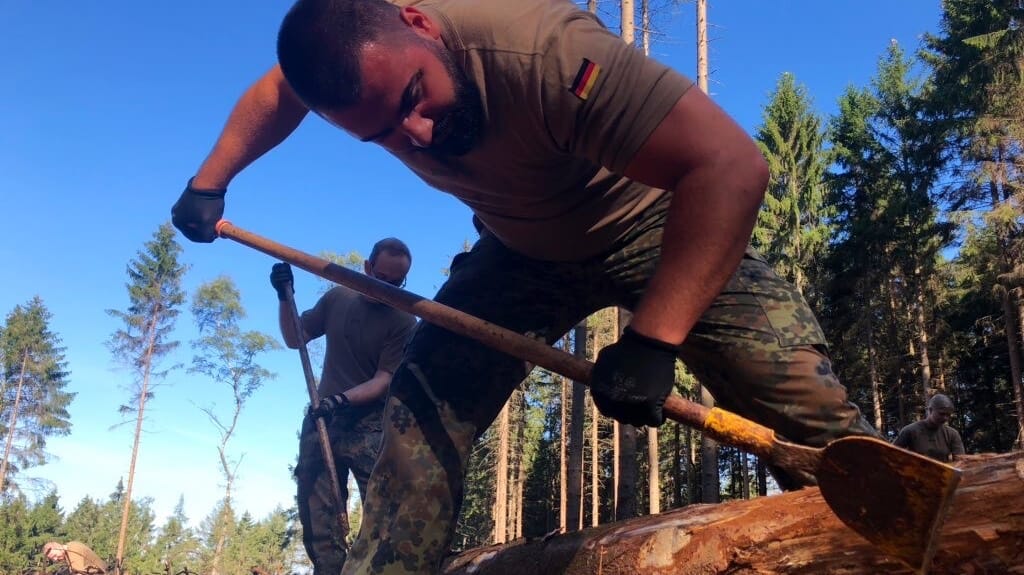 Im Westerwald kämpft die Bundeswehr gegen den Borkenkäferbefall.