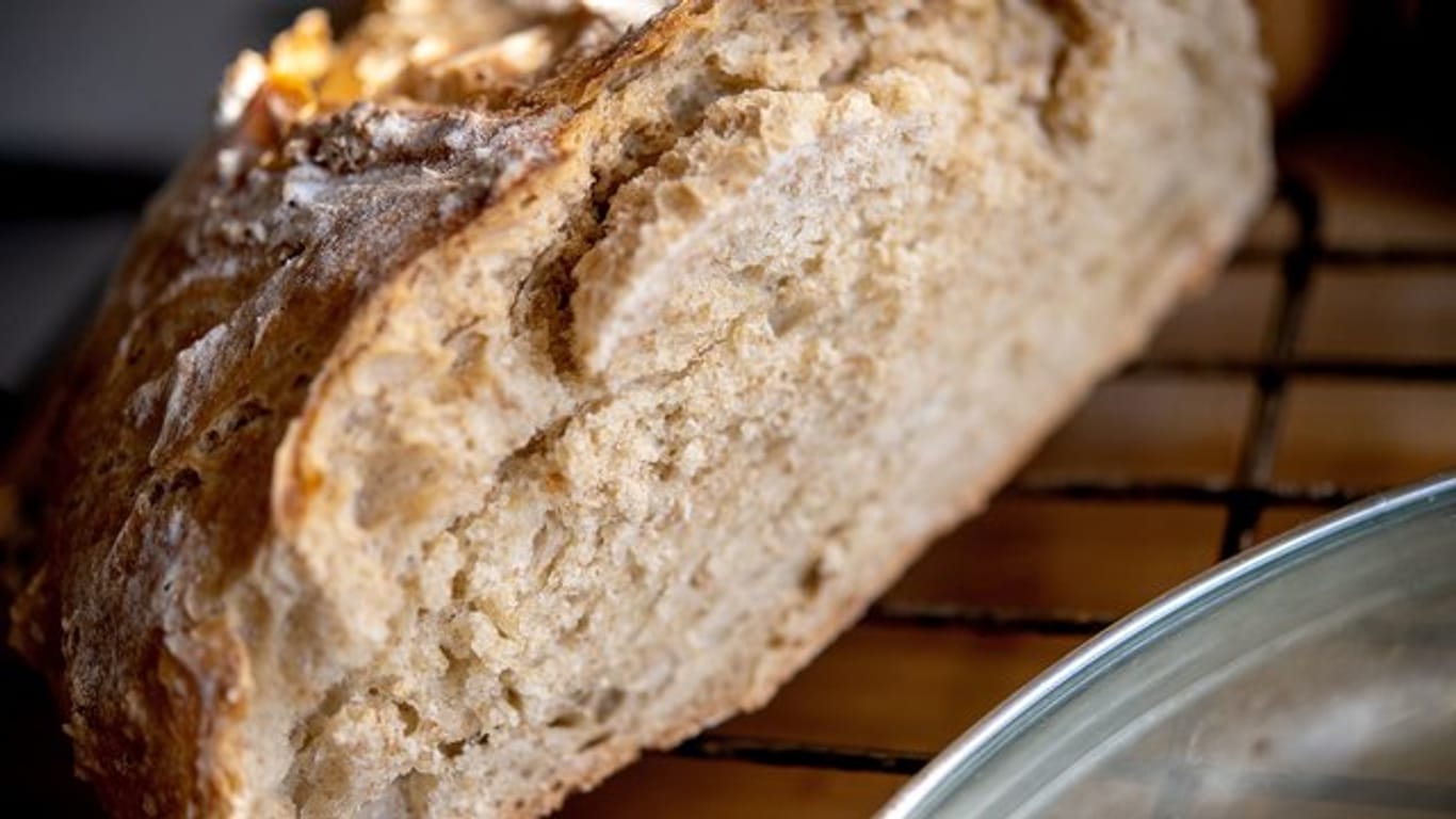 Fein gemahlenes Brot: Volkornbrot muss innen nicht körnig sein.