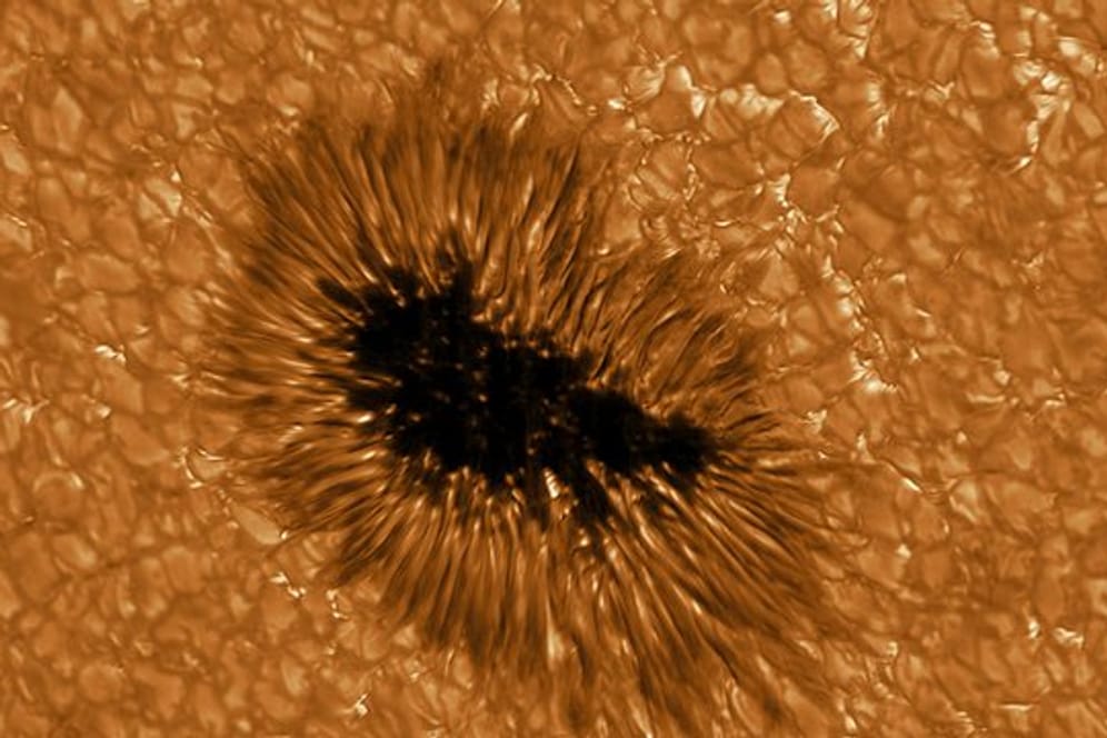 Ein Sonnenfleck in höchster Auflösung: vom "Gregor"-Teleskop beobachtet bei einer Wellenlänge von 430 nm.