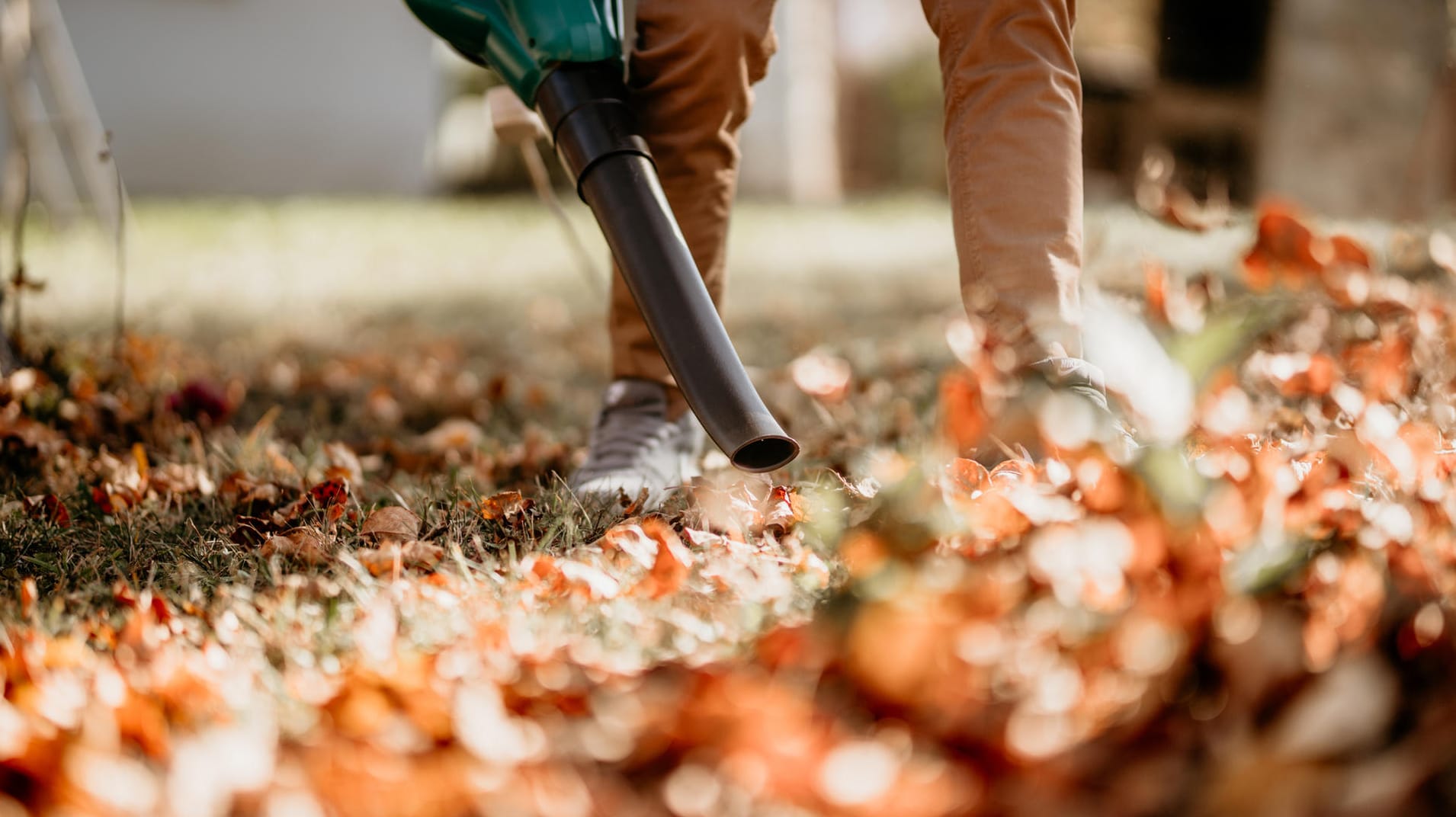 Für den Herbst: 3-in-1-Laubbläser im Angebot sichern.