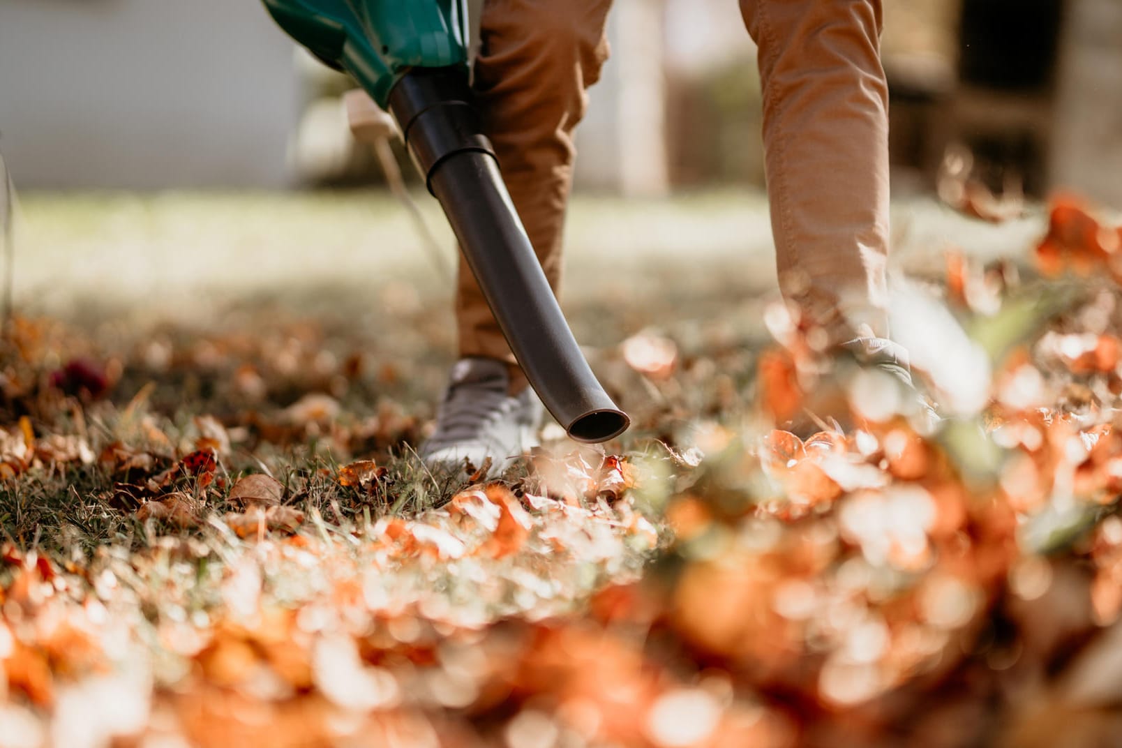 Für den Herbst: 3-in-1-Laubbläser im Angebot sichern.