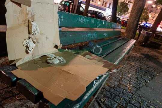 Pizzakartons in einem Park - kann ein Pfandsystem dagegen helfen?.