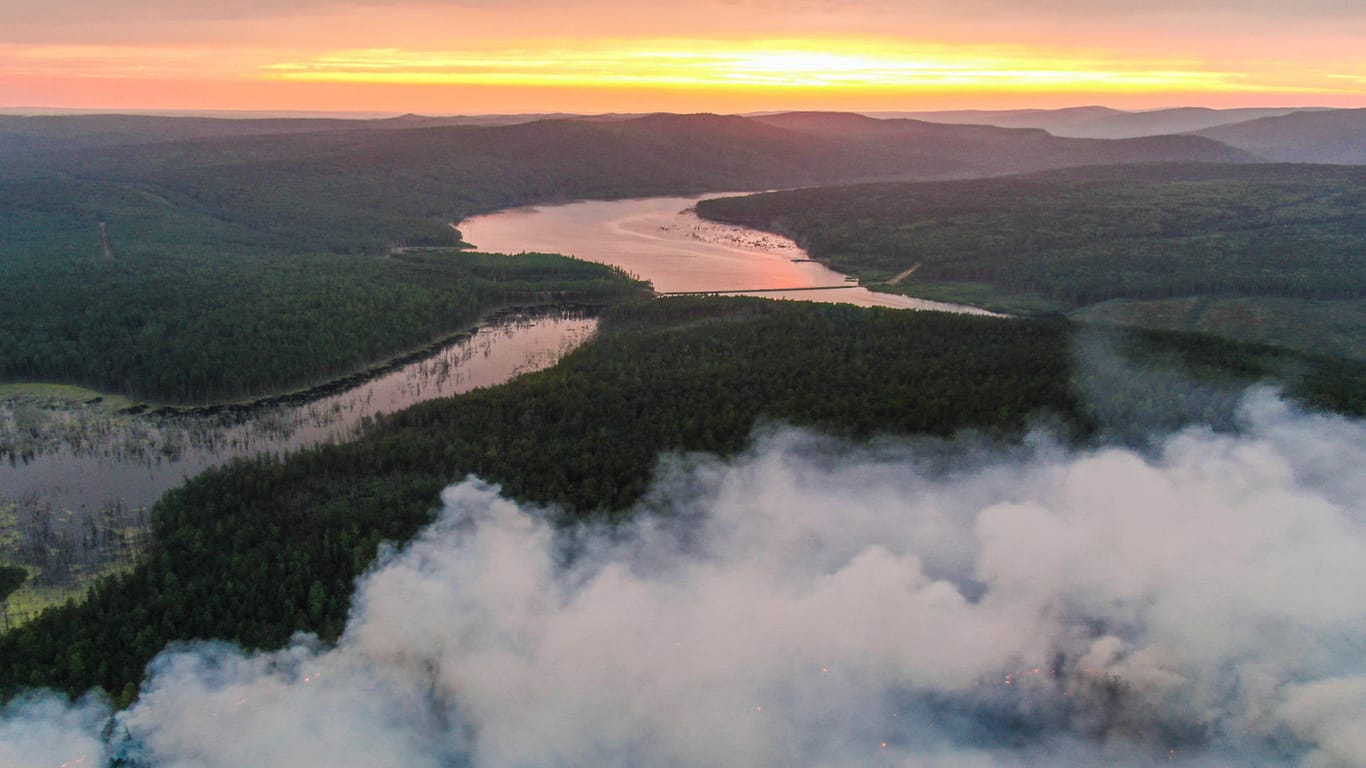 Klimaforscher: Emissionsrekorde durch Waldbrände im Norden
