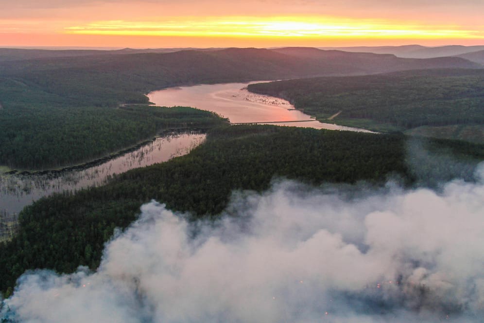 Klimaforscher: Emissionsrekorde durch Waldbrände im Norden