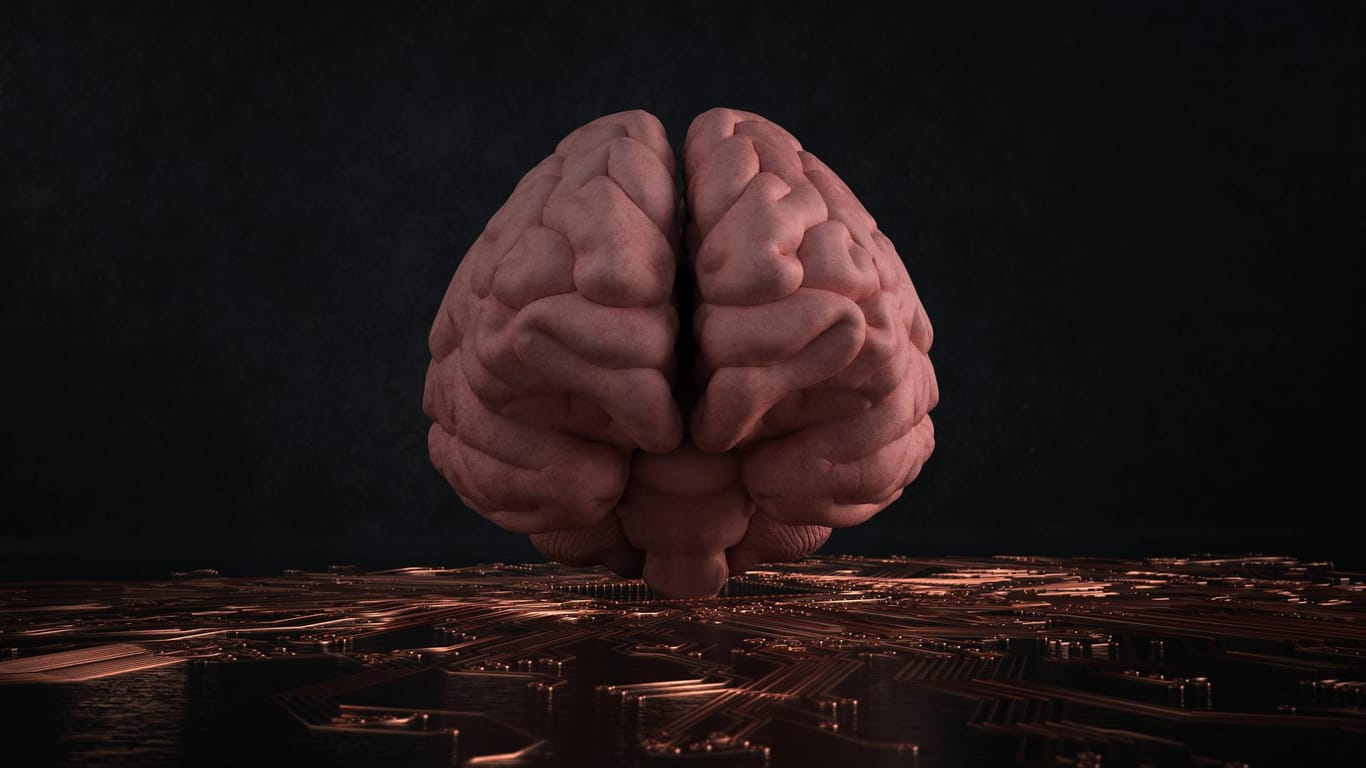 Digitales Gehirn