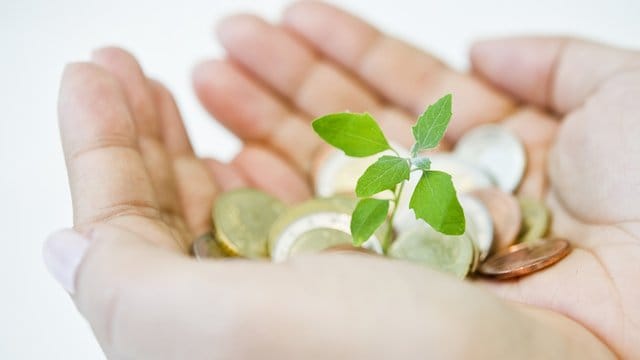 Ethische und ökologische Kriterien stehen bei nachhaltigen Banken im Fokus. Ethische und ökologische Kriterien stehen bei nachhaltigen Banken im Fokus.