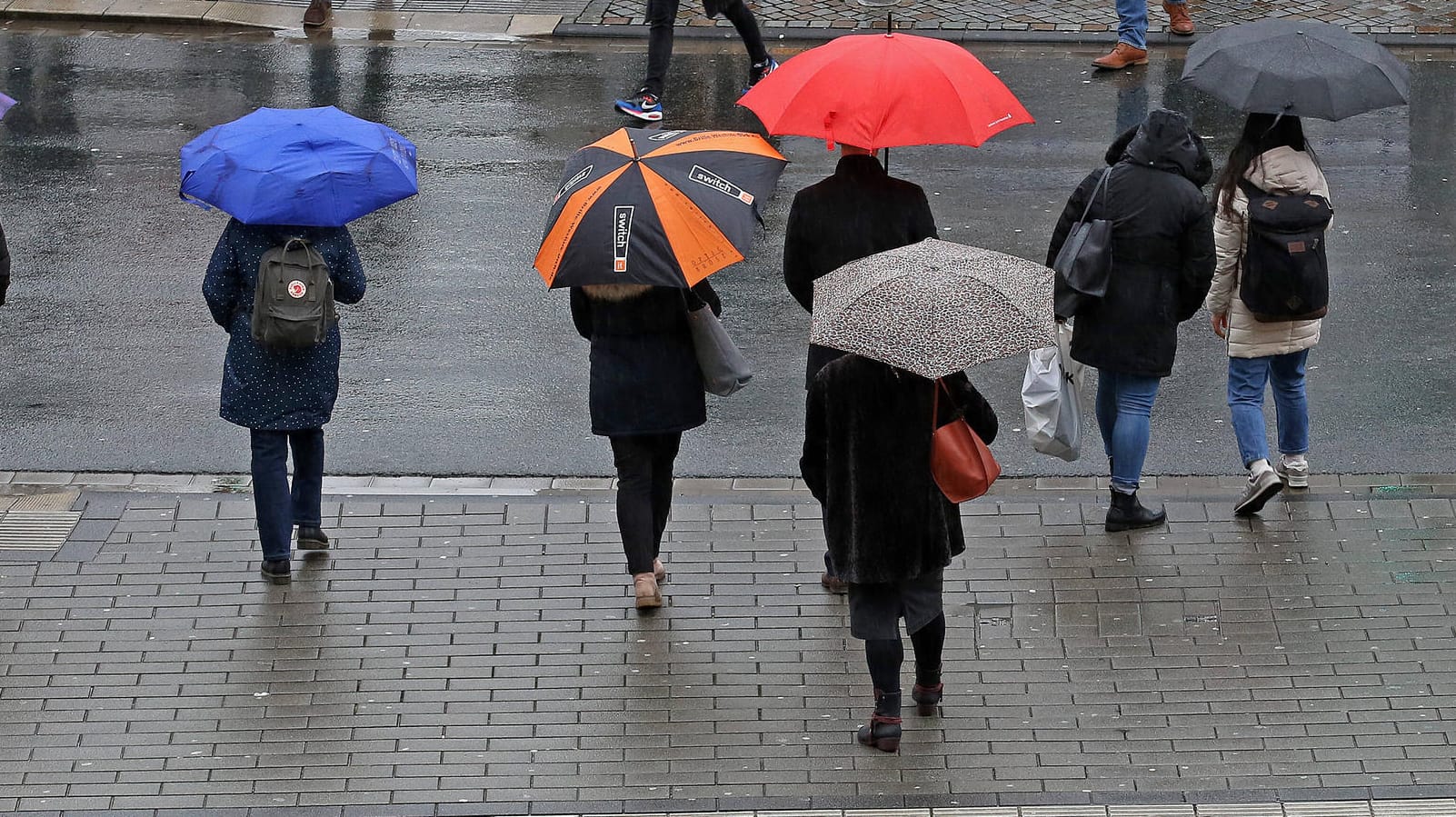 Regen: Am Wochenende müssen sich weite Teile des Landes auf ungemütliche Temperaturen einstellen. Regen: Am Wochenende müssen sich weite Teile des Landes auf ungemütliche Temperaturen einstellen.