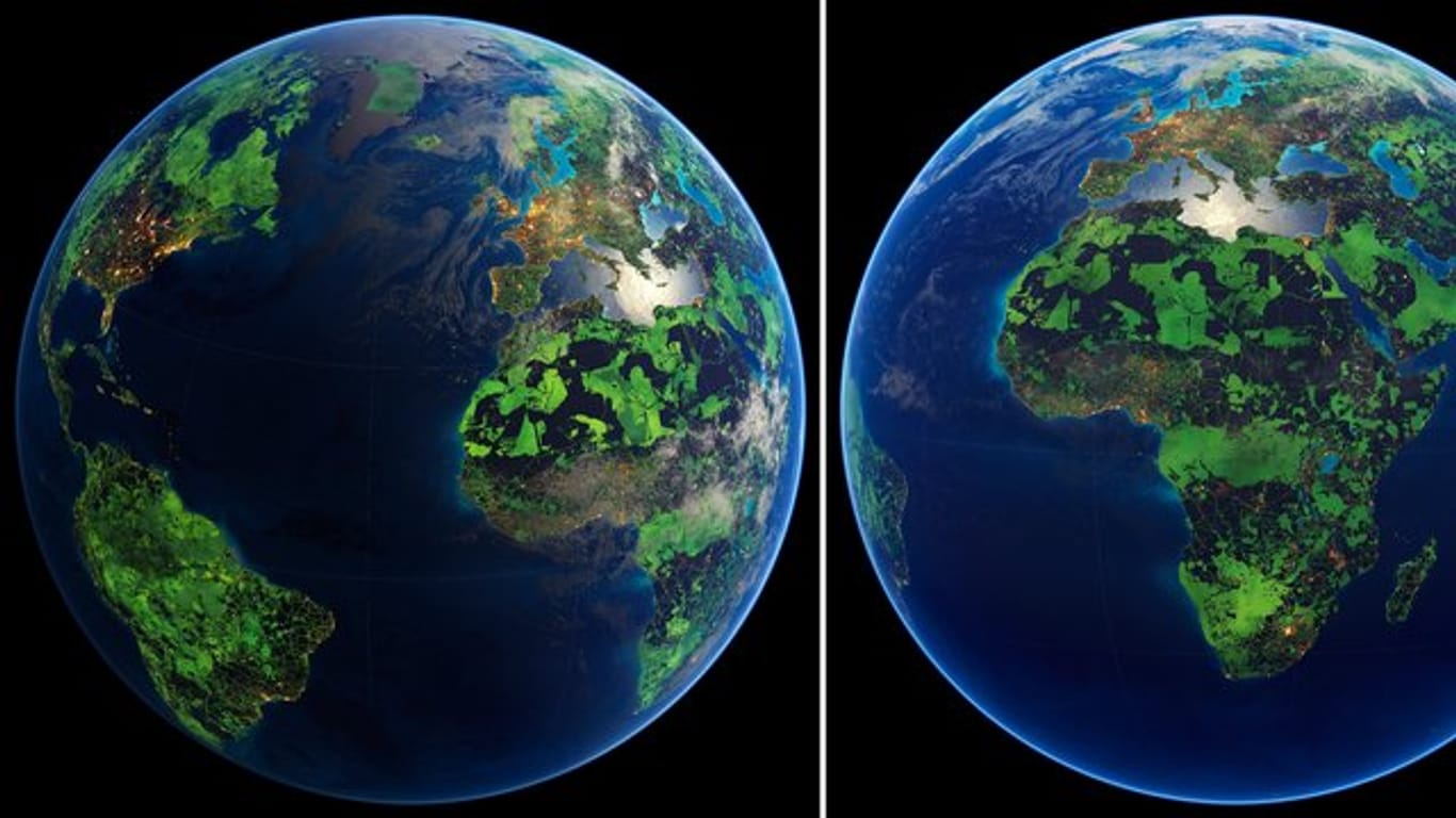 Visualisierung der Erde: Die grün dargestellten Flächen markieren laut der Studie diejenigen Gebiete, die unter Schutz gestellt werden müssten, um das Artensterben zu begrenzen und wirkungsvollen Klimaschutz zu leisten.