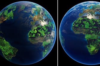 Visualisierung der Erde: Die grün dargestellten Flächen markieren laut der Studie diejenigen Gebiete, die unter Schutz gestellt werden müssten, um das Artensterben zu begrenzen und wirkungsvollen Klimaschutz zu leisten.