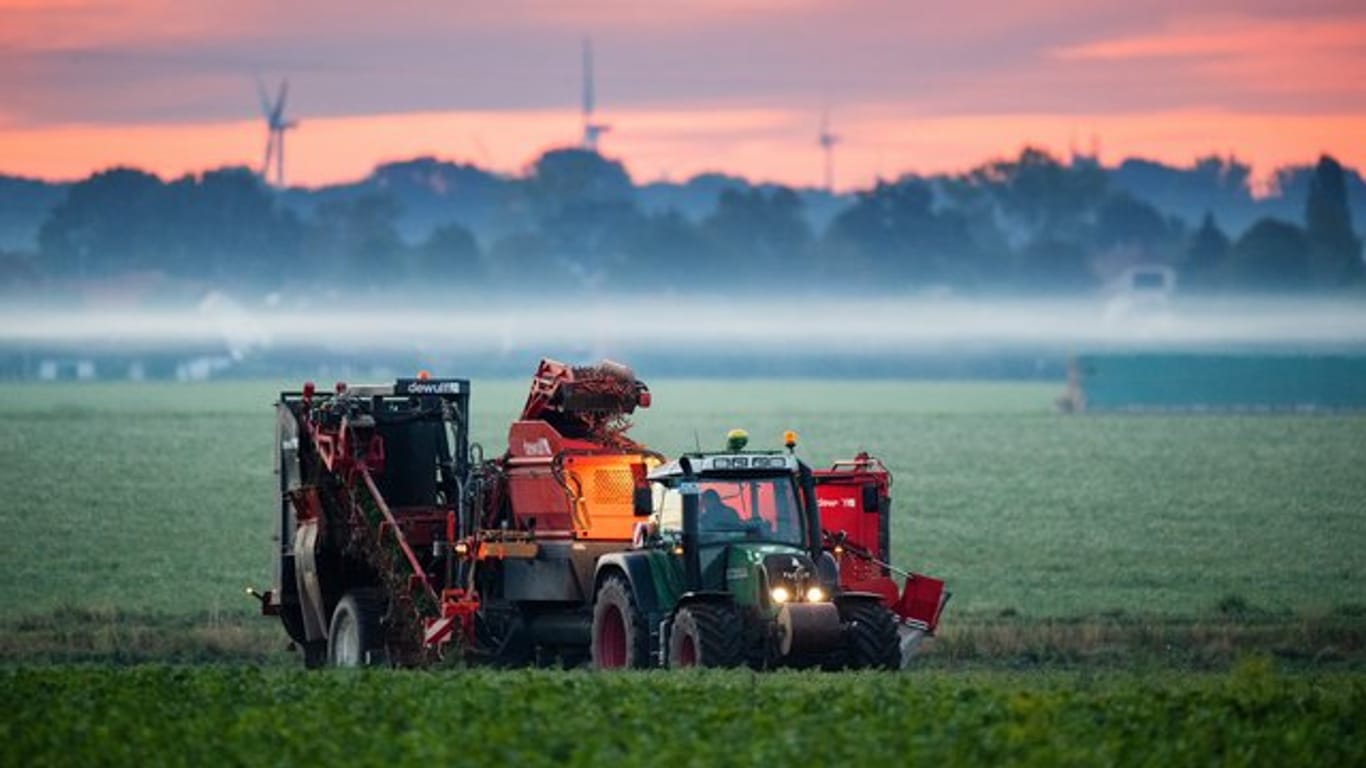 Ein Landwirt erntet Bio-Möhren auf einem Feld im Landkreis Hildesheim.