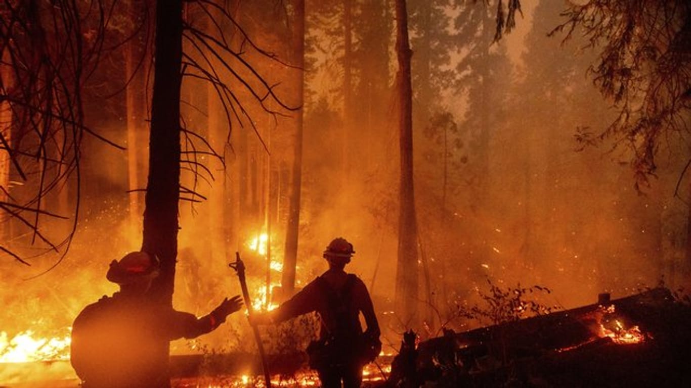 In ganz Kalifornien waren laut Feuerwehr zuletzt mehr als 14.