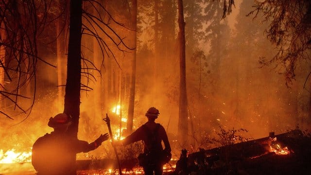 In ganz Kalifornien waren laut Feuerwehr zuletzt mehr als 14.