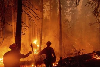 In ganz Kalifornien waren laut Feuerwehr zuletzt mehr als 14.