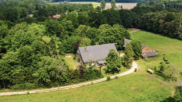 Mitten in der Natur: Das Sommerhaus der Stars.