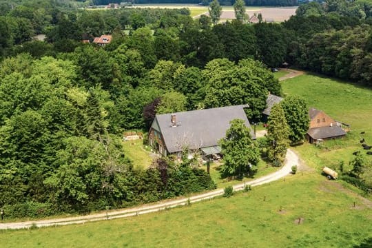 Mitten in der Natur: Das Sommerhaus der Stars.