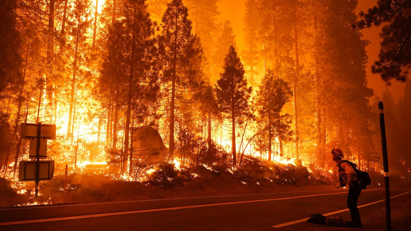 Fast 15.000 Feuerwehrleute versuchen, die riesigen Brände in Kalifornien einzudämmen.