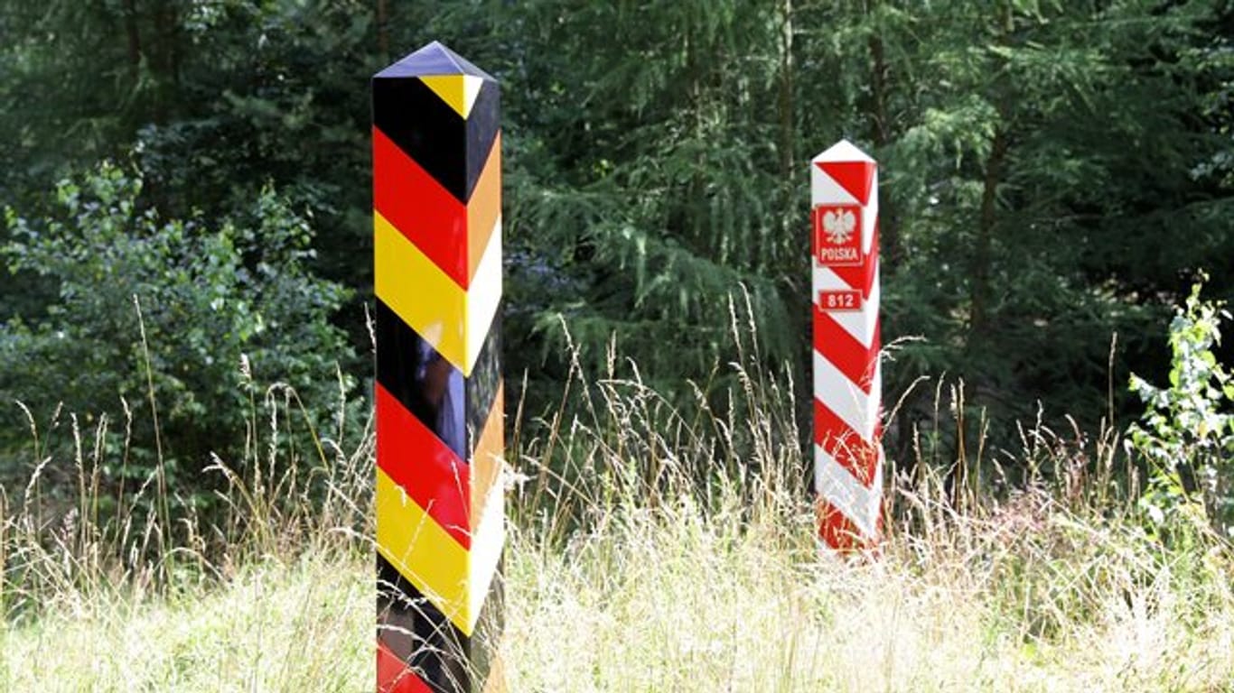 Wenige Kilometer von der deutsch-polnischen Grenze im Spree-Neiße-Kreis ist ein Wildschwein-Kadaver gefunden worden.