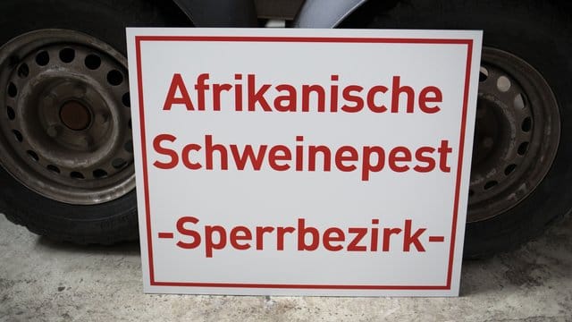 Ein Schild mit der Aufschrift "Afrikanische Schweinepest - Sperrbezirk" steht in einem Zentrallager für Tierseuchenbekämpfungsmaterial (Archiv). Ein Schild mit der Aufschrift "Afrikanische Schweinepest - Sperrbezirk" steht in einem Zentrallager für Tierseuchenbekämpfungsmaterial (Archiv).