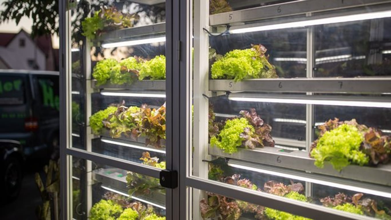 Im Nürnberger Ortsteil Almoshof steht jetzt ein Salat-Automat.