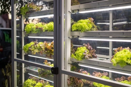 Im Nürnberger Ortsteil Almoshof steht jetzt ein Salat-Automat.