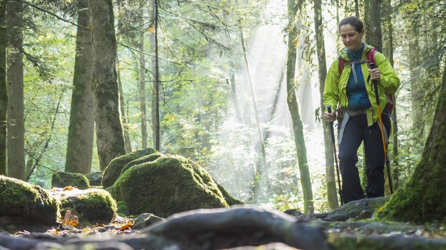 Wanderin im Schwarzwald: Die Region ist in diesem Herbst besonders beliebt.