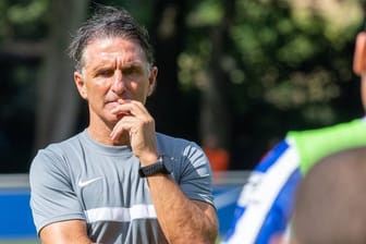 Muss bei Hertha BSC noch einige Probleme lösen: Trainer Bruno Labbadia.