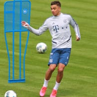 Bayern-Talent: Oliver Batista-Meier spielt kommende Saison in den Niederlanden.