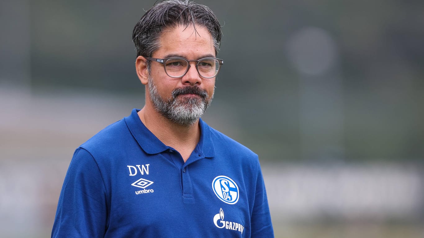Schalke-Trainer David Wagner: Können die Königsblauen zum Spiel gegen Schweinfurt antreten?