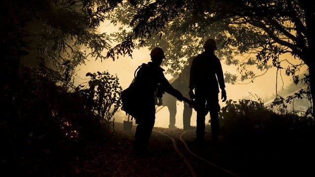 Feuerwehrleute überwachen einen kontrollierten Brand, um die Waldbrände einzudämmen. Feuerwehrleute überwachen einen kontrollierten Brand, um die Waldbrände einzudämmen.