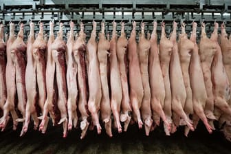 Halbierte Schweine: China hat den Import von deutschem Schweinefleisch verboten.
