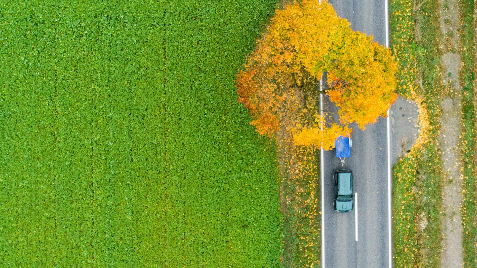 Kaufkriterium: Für manch ein Hobby dürfte es ausreichen, sich zum normalen Auto einfach einen Anhänger zuzulegen.