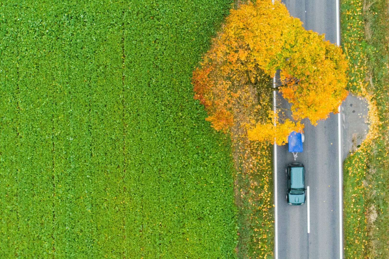 Kaufkriterium: Für manch ein Hobby dürfte es ausreichen, sich zum normalen Auto einfach einen Anhänger zuzulegen.