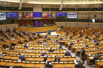 Das Europaparlament entscheidet darüber, wie beim geplanten Just Transition Fund die Gelder verteilt werden sollen.