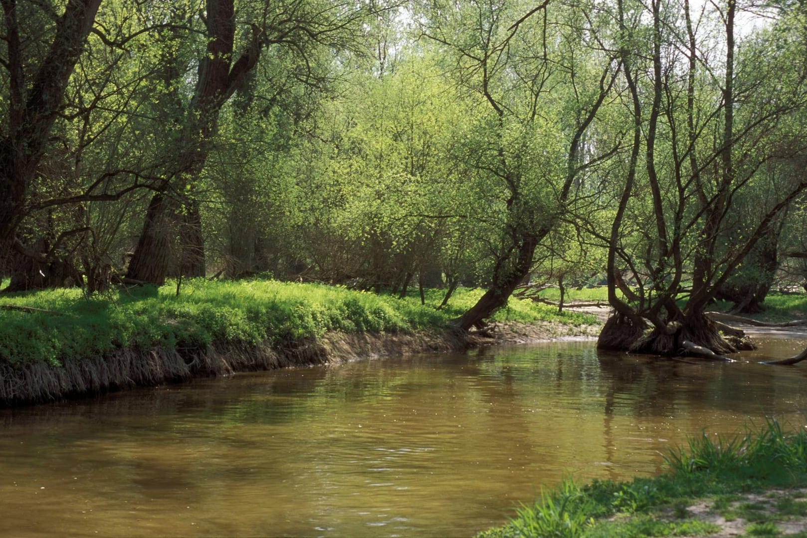 Rheinauen bei Karlsruhe (Archivbild): Der Landkreis Karlsruhe appelliert an die Bürger, kein Wasser aus Bächen zu entnehmen.