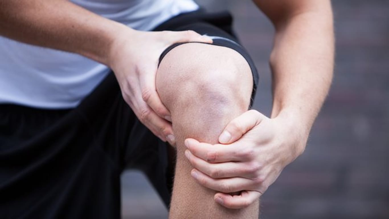 Sehnenbeschwerden: Oft sind die Achillessehne, die Kniescheibensehne (Foto) sowie die Sehnen am Ellenbogen betroffen.