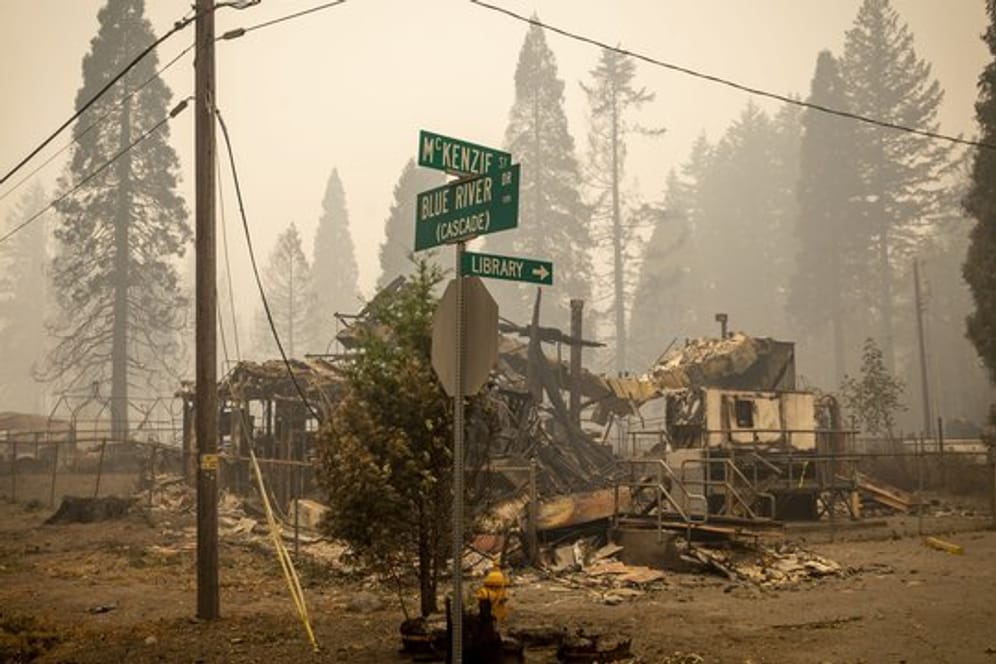Die verheerenden Waldbrände im Westen der USA haben in den vergangenen Wochen riesige Flächen zerstört.