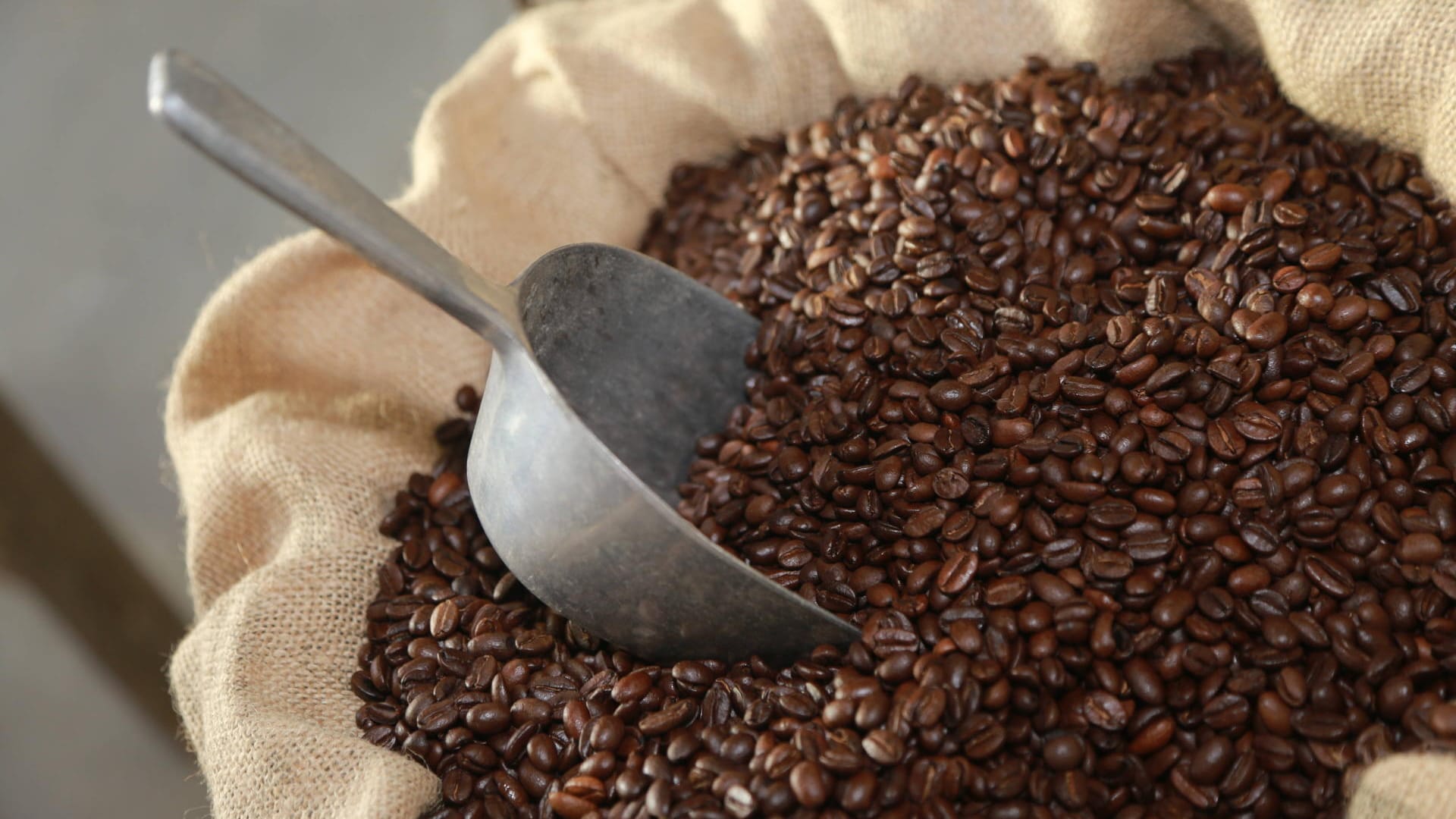 Kaffeeröstung: Schon die rohen Bohnen machen einen großen Unterschied für den Geschmack des Kaffees.