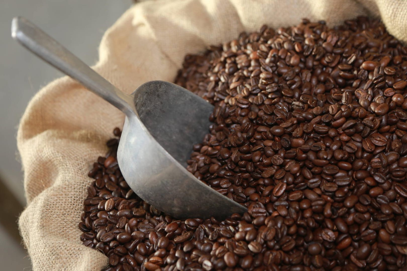 Kaffeeröstung: Schon die rohen Bohnen machen einen großen Unterschied für den Geschmack des Kaffees.