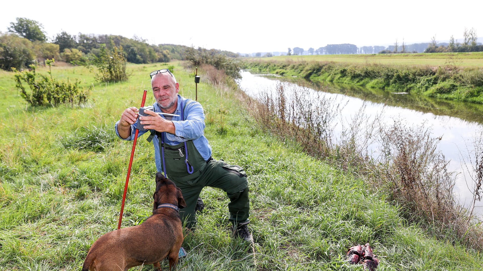 Thüringen, Schönewerda: Heiko Krannich, Tierparkservice Wittingen, installiert eine Fotofalle neben einem Köder am Ufer der Unstrut. Die Suche wurde nun eingestellt.