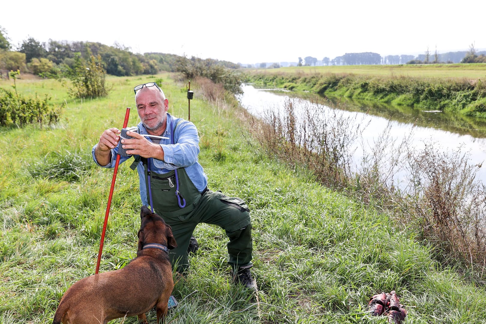 Thüringen, Schönewerda: Heiko Krannich, Tierparkservice Wittingen, installiert eine Fotofalle neben einem Köder am Ufer der Unstrut. Die Suche wurde nun eingestellt.