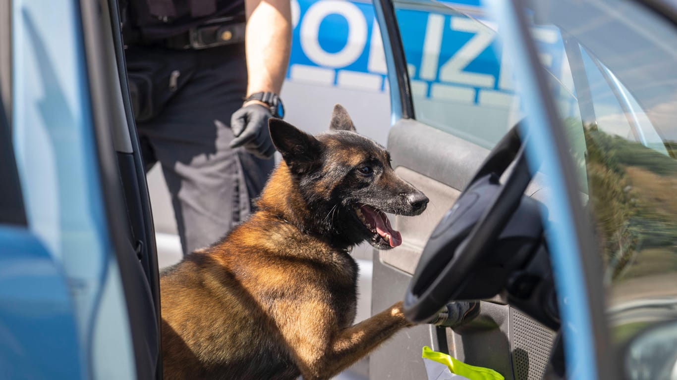 Ilsfeld/Kreis Heilbronn: Die Polizei musste einen freilaufenden Hund einfangen und sperrte die Straße. (Symbolbild)