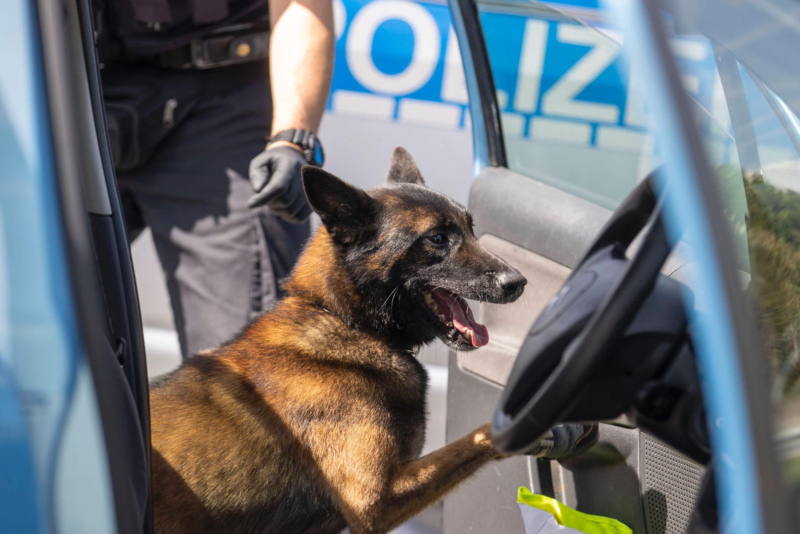 Ilsfeld/Kreis Heilbronn: Die Polizei musste einen freilaufenden Hund einfangen und sperrte die Straße. (Symbolbild)