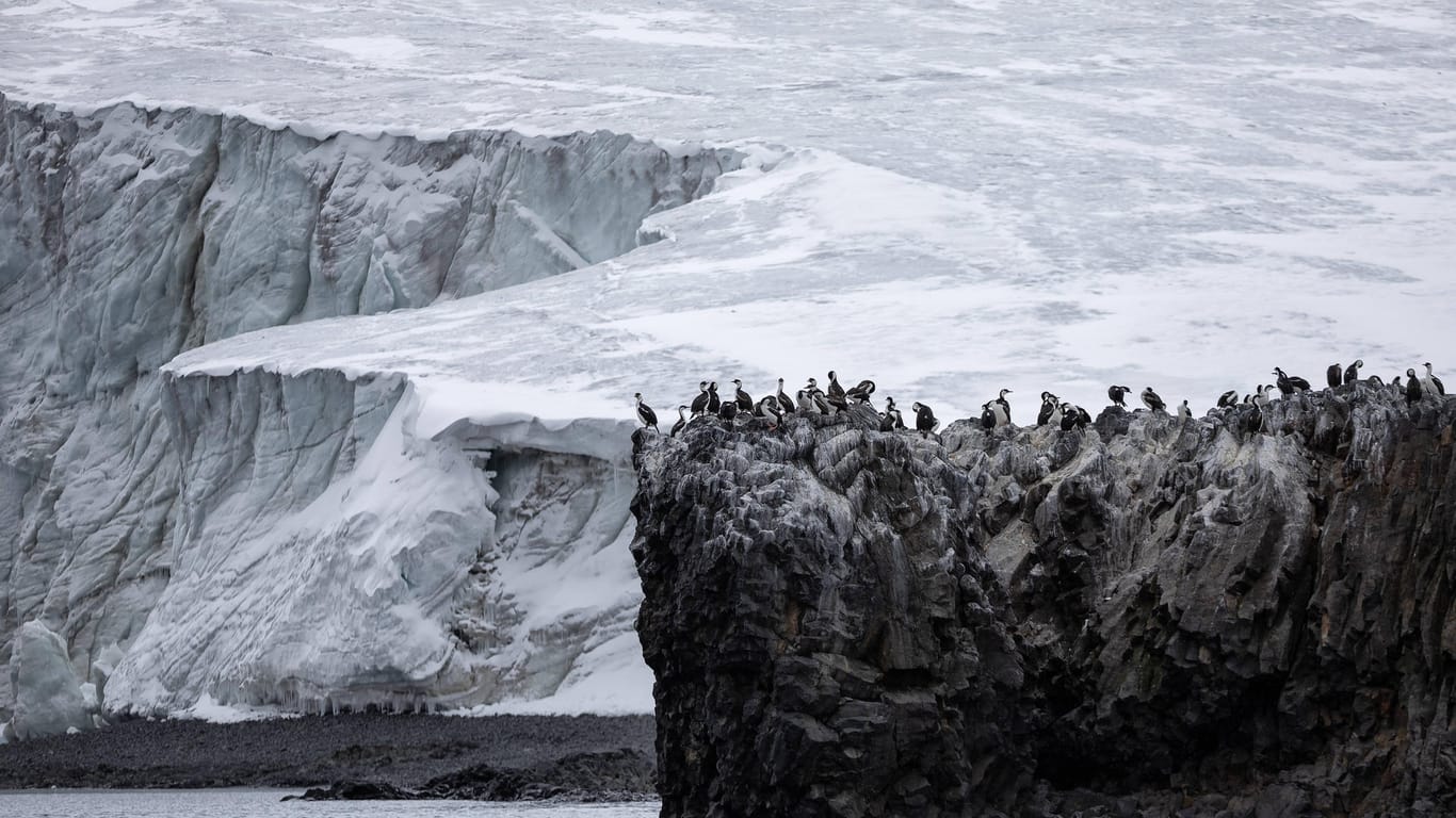 Antarktis: Die Gletscherschmelze lässt den Meeresspiegel ansteigen – mit globalen Folgen. (Symbolfoto)