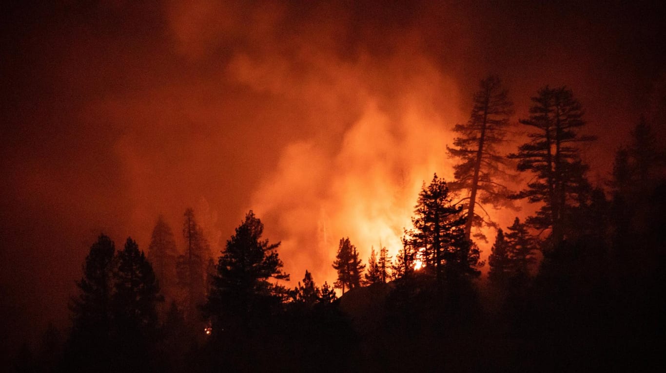 Waldbrand in Kalifornien: Die Bewältigung der Klimakrise erfordert internationale Anstrengungen.