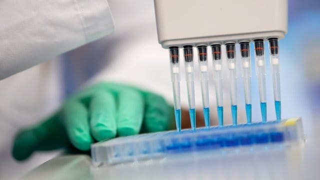 Eine Virologin untersucht Proben auf das Coronavirus
