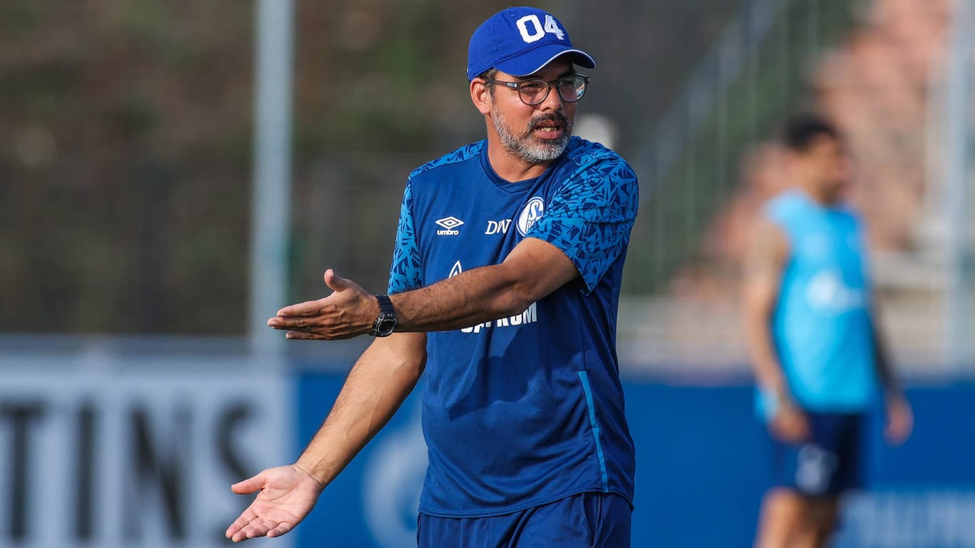 Trainer unter Druck: David Wagner steht mit Schalke für einer schwierigen Saison.