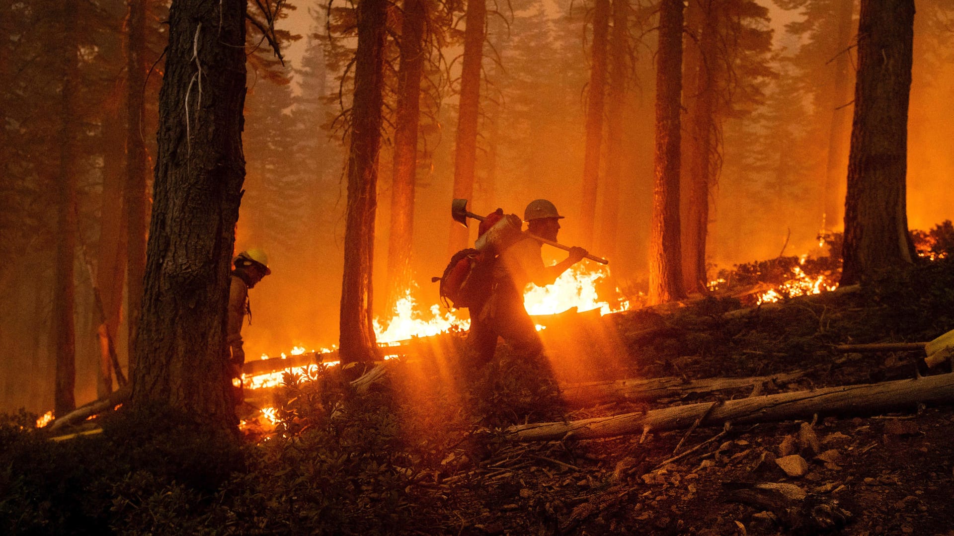 USA, Plumas National Forest: Im Westen der USA wüten Dutzende Waldbrände. Viele Menschen sind gestorben.